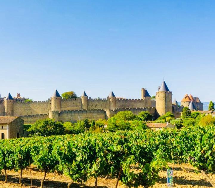 T2 Cocooning Vue Panoramique Cite Apartment Carcassonne Bagian luar foto